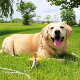 BP Tie-OutDome Stake Combo 30ft XL