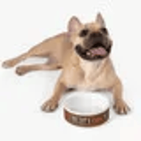 Savage Love Pet Feeding Bowl
