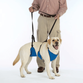 GG Lift & Lead (Color: Blue, size: L)