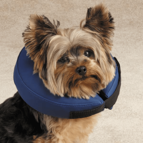 TH Inflatable Collar (Color: Blue, size: large)