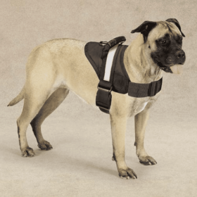 Guardian Gear Excursion Harnesses (Option: Length - 15-19In)