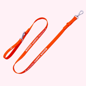 Silicone Dog Leash (Option: "Warning: Sloppy Kisser" Orange Leash)