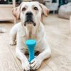 Dog Fetch Toy Outdoor Barbell Dog Toy for Small Medium and Large Breed Dogs Floating Dog Toy